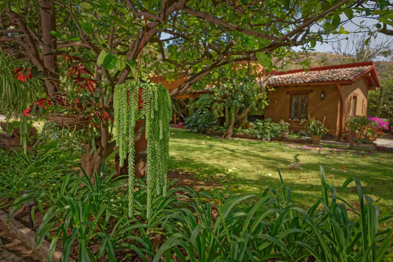 Bed and Breakfast Casa Navacoyan à Malinalco Extérieur photo